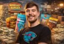 MrBeast Net Worth and YouTube Business Empire